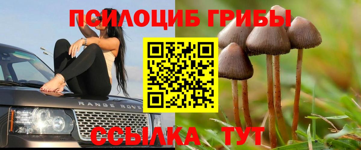 Псилоцибиновые грибы мицелий Лангепас
